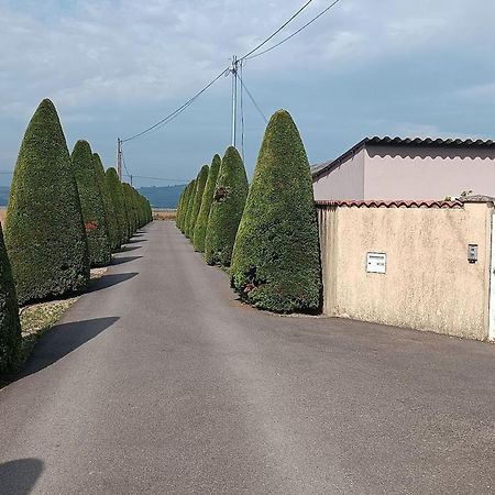 Charmante Maison Avec Piscine Anneyron Buitenkant foto
