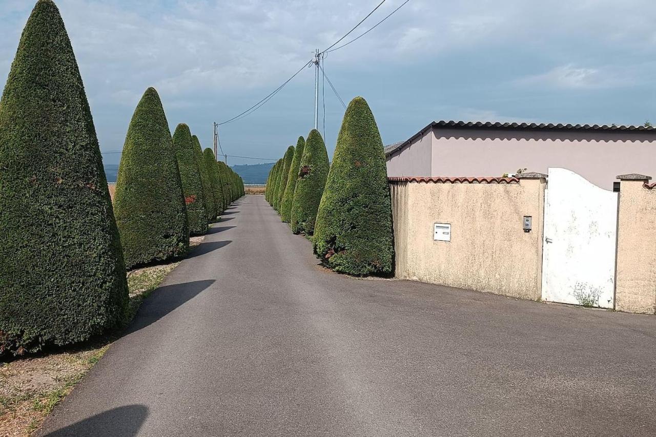 Charmante Maison Avec Piscine Anneyron Buitenkant foto